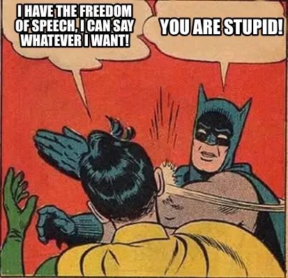 Funny I Have the freedom of speech, I can say whatever I Want! You are stupid!