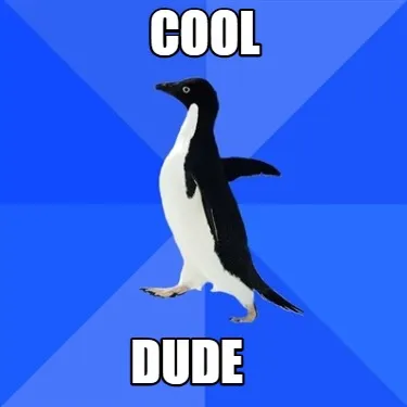 Funny Cool Dude