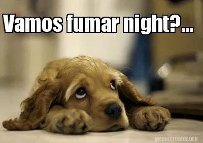 Funny Vamos fumar night?...