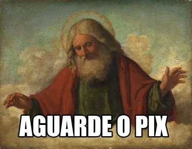 Funny Aguarde o pix