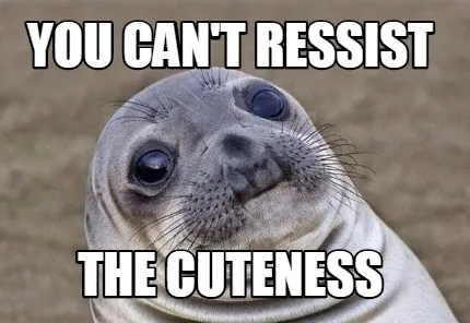 Funny you can't ressist the cuteness