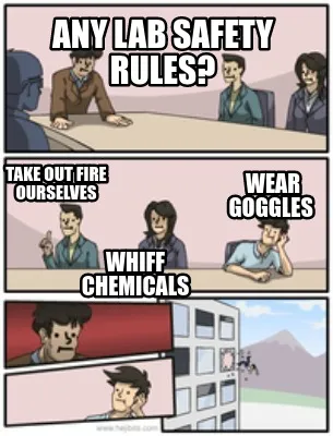 Any lab safety rules? whiff chemicals Wear goggles take out fire ourselves