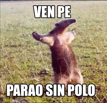 Ven pe parao sin polo