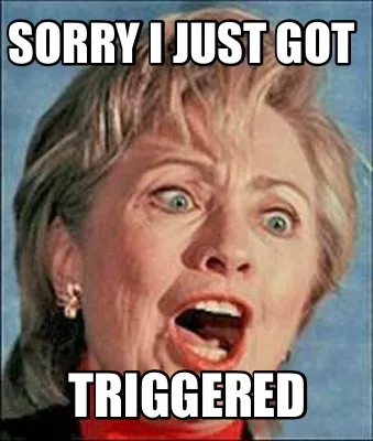 Funny Sorry I just got Triggered