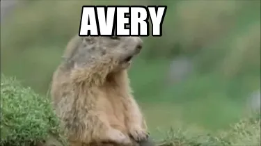 Funny Avery
