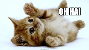 Funny Oh hai
