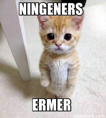 Ningeners Ermer