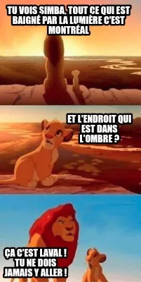 Tu vois Simba, tout ce qui est baigné par la lumière c'est Montréal Ça c'est