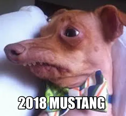 2018 Mustang