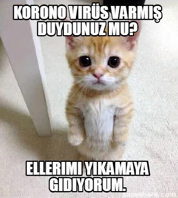 Korono Virs Varm Duydunuz Mu Ellerimi Ykamaya Gidiyorum