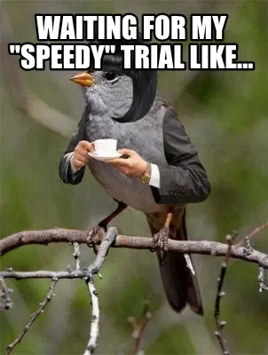 Funny Waiting for my "speedy" trial like...