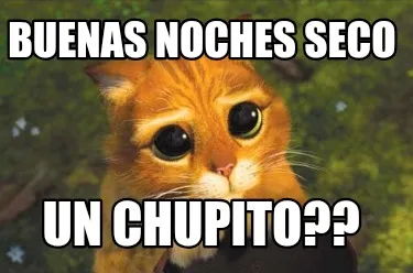 Buenas noches seco Un chupito??