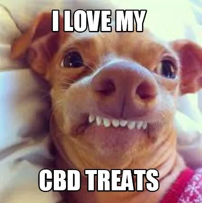 Funny I Love my cbd treats