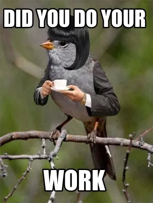 Did You Do Your WORK