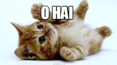Funny o hai