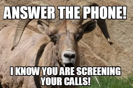 Answer the phone! I know you are screening your calls!