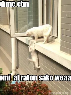 Dime ctm yo me comi al raton sako weaa