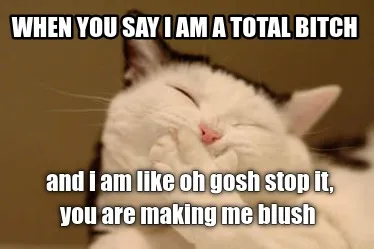 When you say i am a total bitch and i am like oh gosh stop it, you are making me