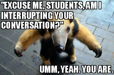 "EXCUSE ME, STUDENTS, AM I INTERRUPTING YOUR CONVERSATION?" UMM, YEAH. YOU ARE.