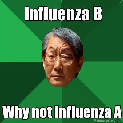 Influenza B Why not Influenza A