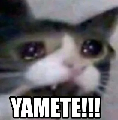 Funny YAMETE!!!