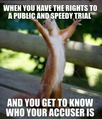 Funny when you have the rights to a public and speedy trial and you get to know who y