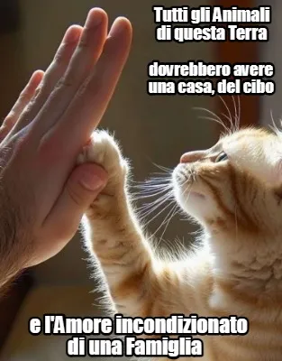 Funny Tutti gli Animali di questa Terra dovrebbero avere una casa, del cibo e l'Amore