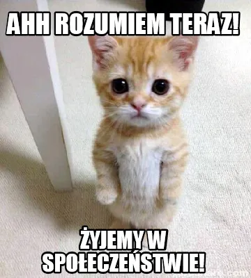 Ahh Rozumiem Teraz Yjemy W Spoeczestwie