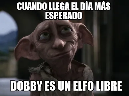 Cuando llega el día más esperado Dobby es un elfo libre