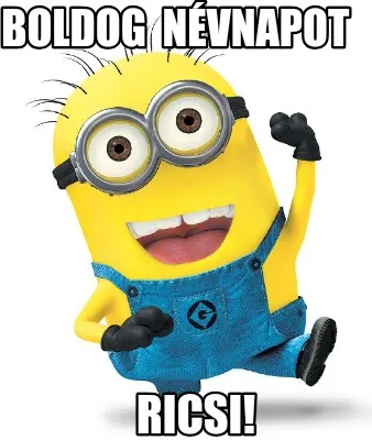Funny Boldog névnapot Ricsi!