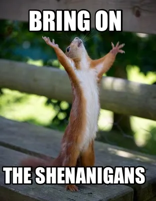 Bring on The SHENANIGANS