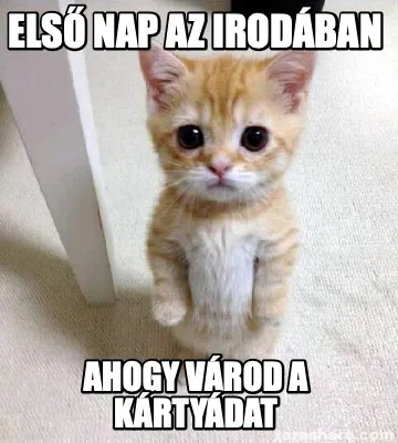 Els Nap Az Irodban Ahogy Vrod A Krtydat