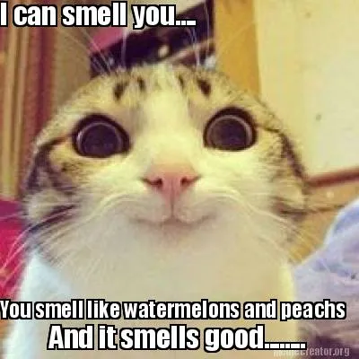 Funny I can smell you.... You smell like watermelons and peachs And it smells good....