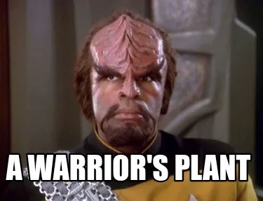 Funny A Warrior's plant