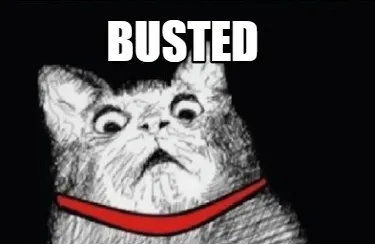 Funny Busted