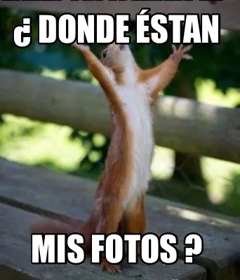 ¿ DONDE ÉSTAN MIS FOTOS ?