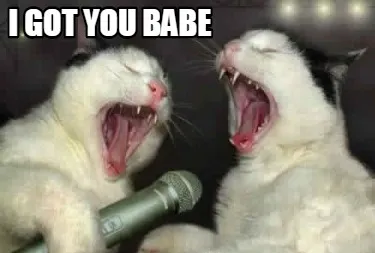 Funny I got you babe