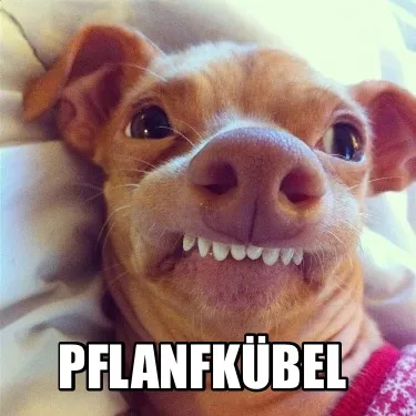 Pflanfkübel