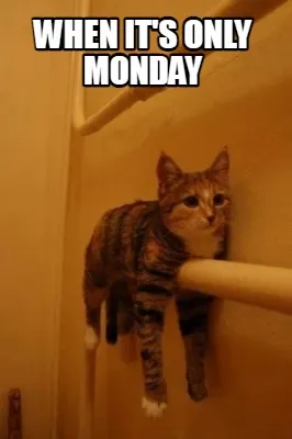 When it's only monday
