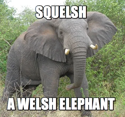 SQUELSH A WELSH ELEPHANT