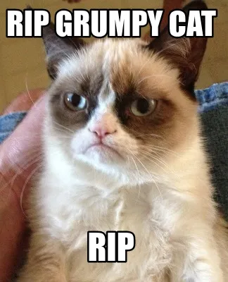Rip grumpy cat rip