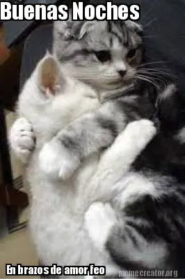 Buenas Noches En brazos de amor feo