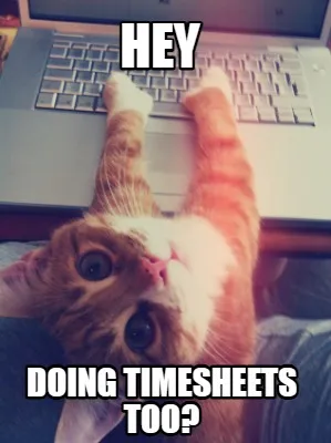 Funny Hey Doing timesheets too?