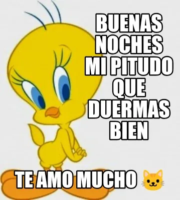 Buenas NOCHES MI PITUDO QUE DUERMAS BIEN TE AMO MUCHO ????
