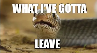 Funny What I've gotta LEAVE