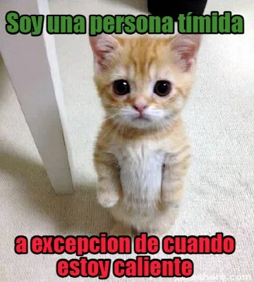 Soy una persona tímida a excepcion de cuando estoy caliente