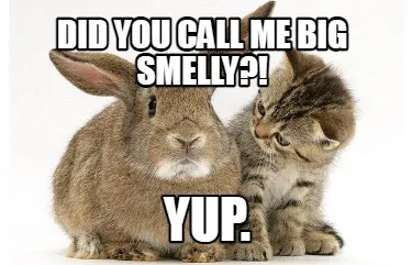 Did you call me big smelly?! yup.