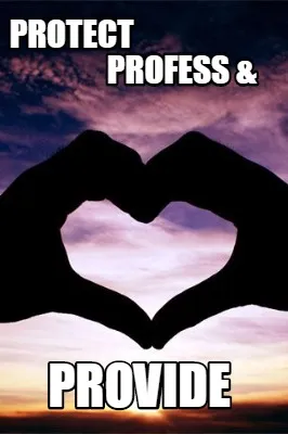 Funny PROTECT PROFESS & PROVIDE