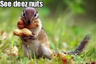 See deez nuts