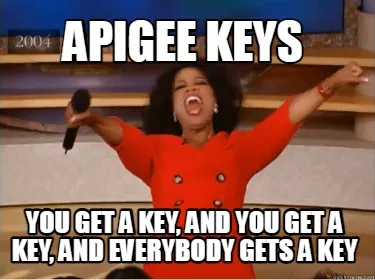 APIGEE KEYS You get a key, and you get a key, and everybody gets a key